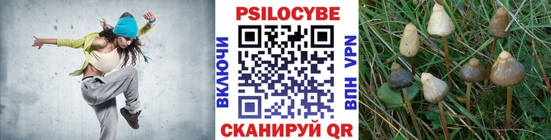 Галлюциногенные грибы мицелий Гвардейск